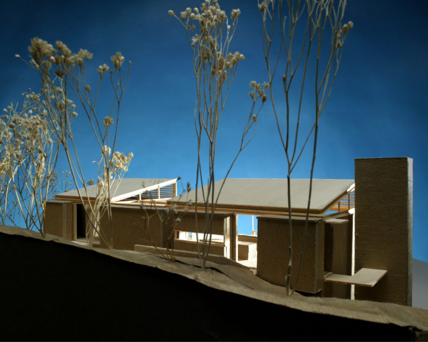 Hillside Residence Aidlin Darling Design